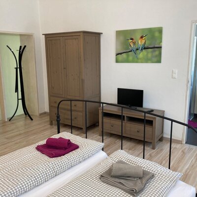 Schlafzimmer im Bauernhof mit zwei Einzelbetten, Kleiderschrank, Fernseher und direktem Zugang zum Badezimmer.
