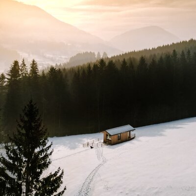 Die idyllische, verschneite Landschaft mit dem Tiny House am Waldrand und Bergen im sanften Abendlicht.