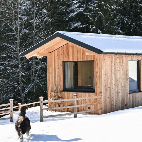 Das charmante Tiny House in einer verschneiten Winterlandschaft direkt am Waldrand.