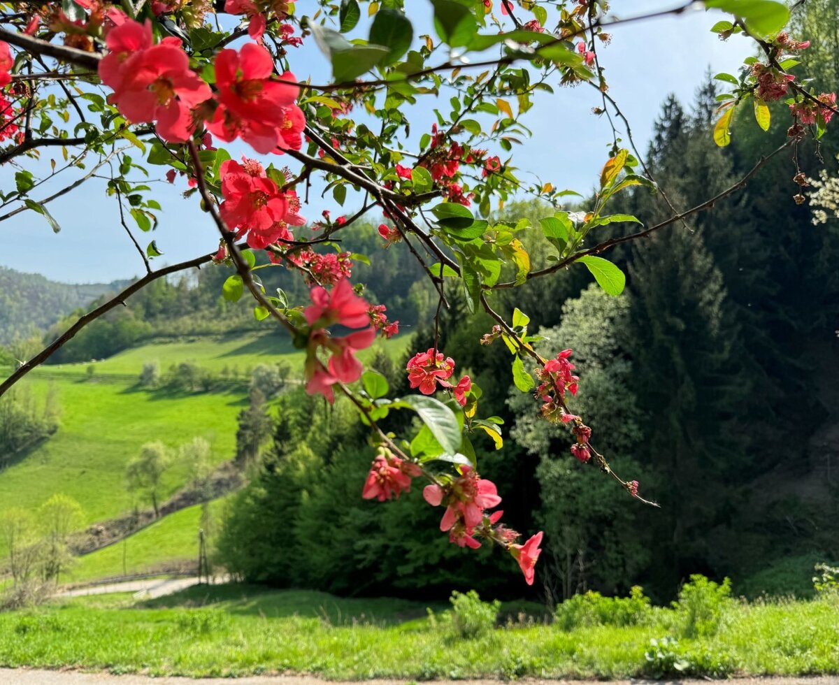 Garten © Gsangerer/Poosch