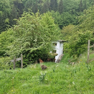 Garten © Gsangerer/Poosch