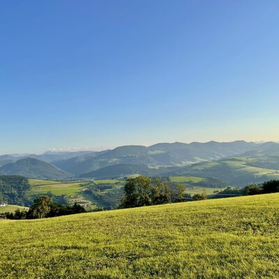 Ausblick © Gut Herzogberg