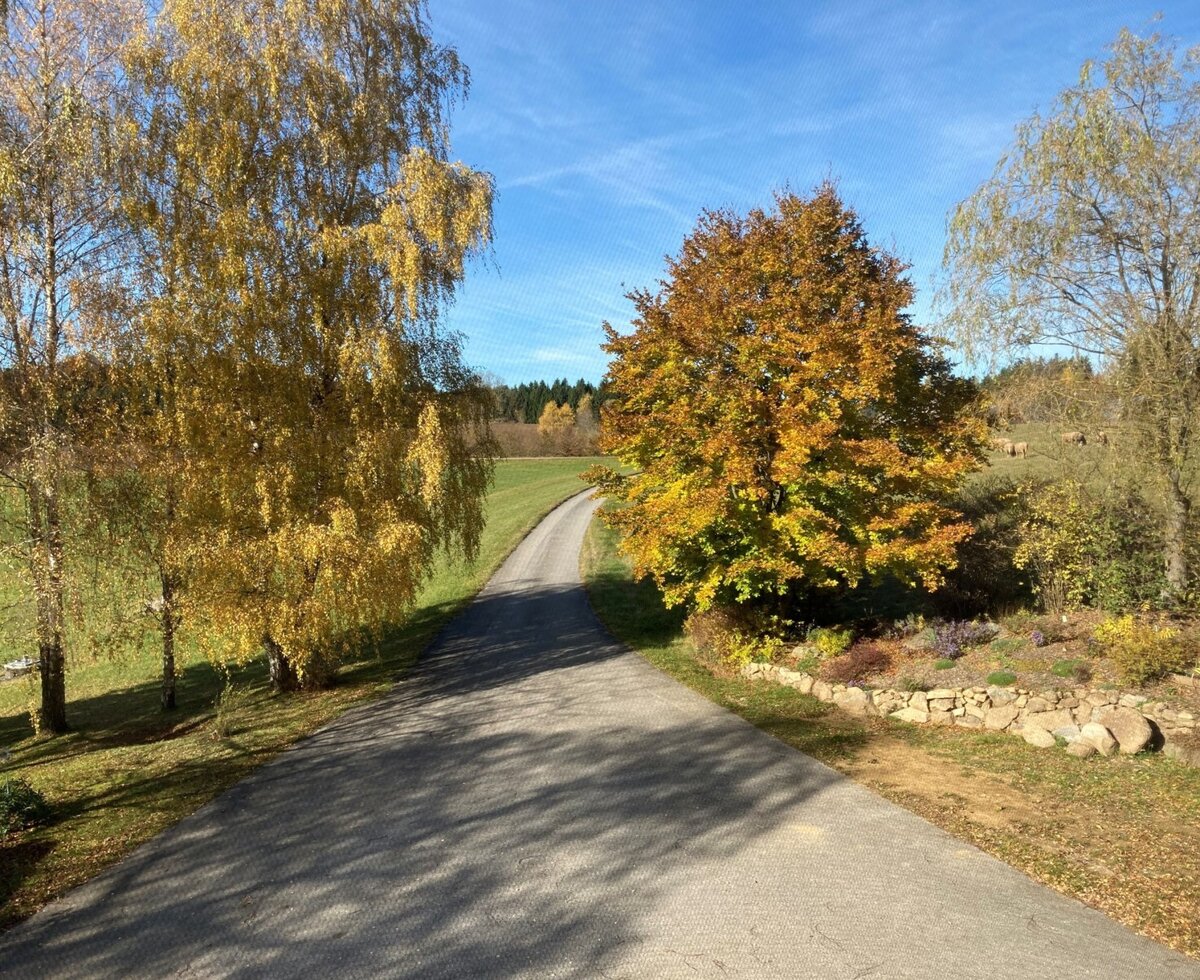 Huber-Hof: Ausblick aus dem Wohnzimmer © Dorli Huber