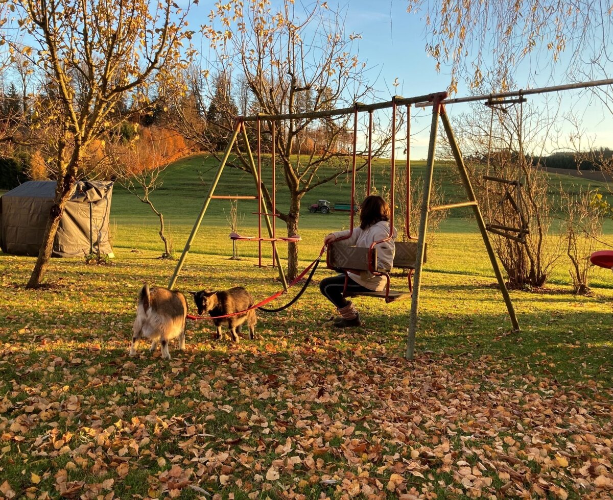 Huber-Hof: Zwergziegen © Dorli Huber