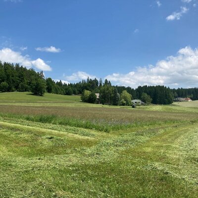 Huber-Hof © Dorli Huber