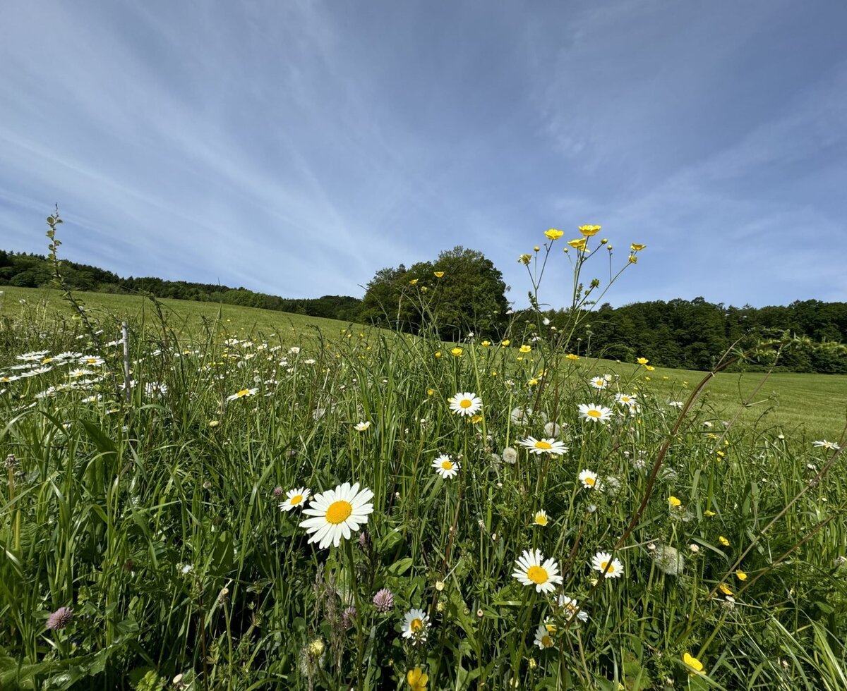 © Impuls Hof – Unterhegerberg