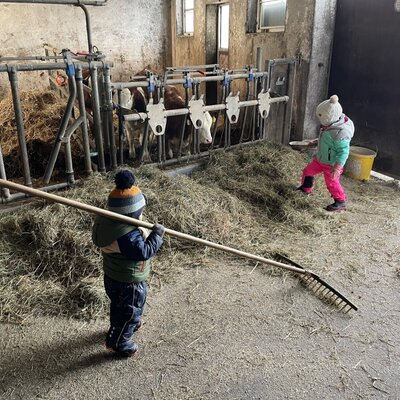 Knappenhof -Stallarbeit © Familie_Hahn