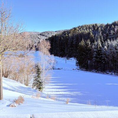 Die winterliche Umgebung des Bauernhofs mit schneebedeckten Feldern, einem zugefrorenen Teich und einem Wald.