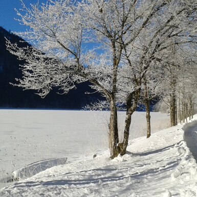 LUNZFerien - Winterlandschaft