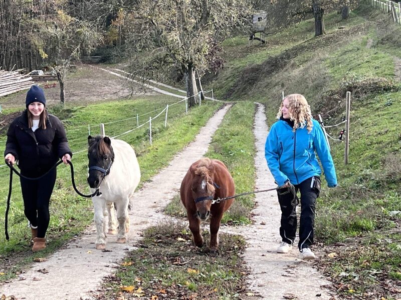 Kinder führen zwei Ponys auf unserem Bauernhof