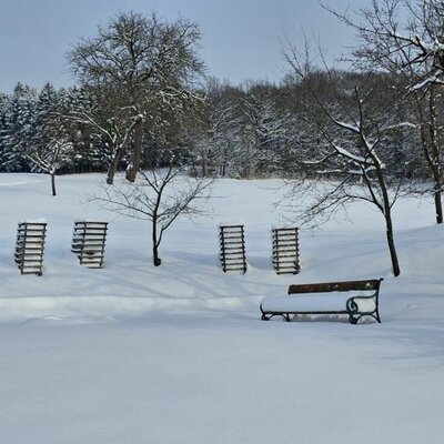 Die Winterlandschaft des Bauernhofs mit schneebedeckten Feldern, Bäumen und einer Bank.