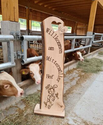 Willkommensschild am Mittermüller Hof im Stall, umgeben von Kälbern.