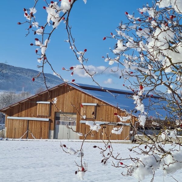Das Bauernhofgebäude mit Holzfassade, verschneitem Dach und Solarpanelen in einer winterlichen Landschaft.