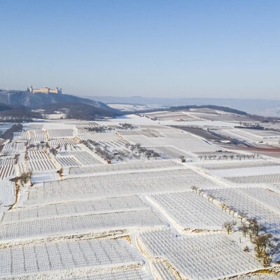Die Winterlandschaft rund um Tiefenfucha, mit schneebedeckten Weinbergen und Stift Göttweig in der Ferne.