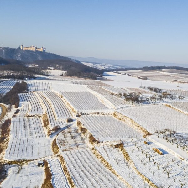Verschneite Weinberge um Tiefenfucha und Stift Göttweig in der Ferne.