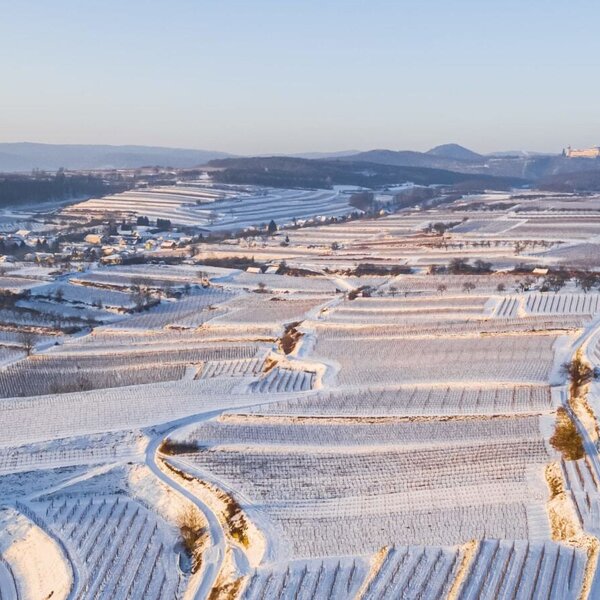Die schneebedeckte Winterlandschaft mit Weinbergen um Tiefenfucha und Stift Göttweig.