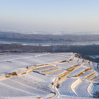 Blick auf die verschneiten Terrassenweinberge und der Donau