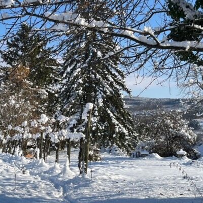 Der verschneite Naturgarten einem Winterweg und Blick auf die umliegende Landschaft.