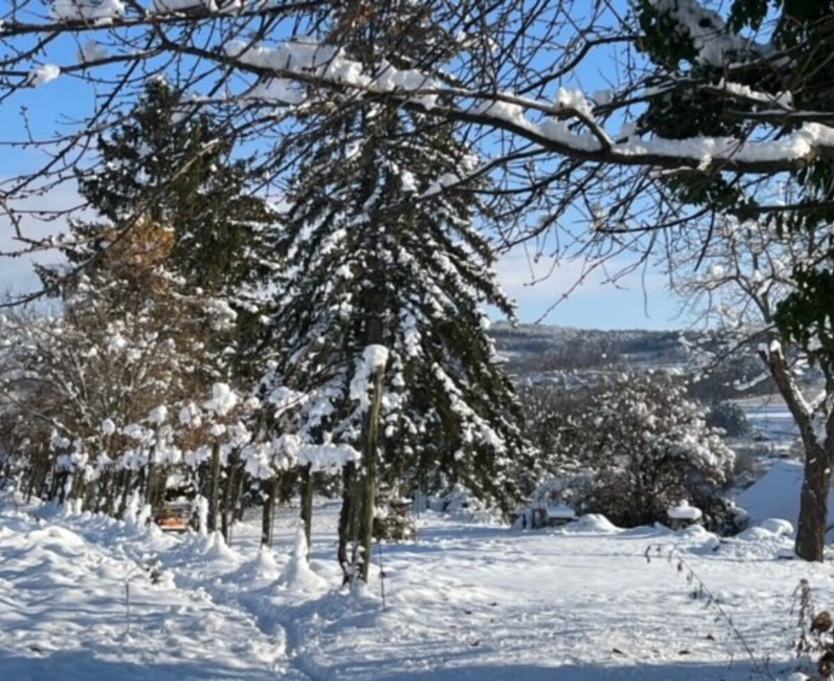 Der verschneite Naturgarten einem Winterweg und Blick auf die umliegende Landschaft.