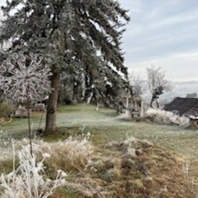 Der frostbedeckte Naturgarten und Blick auf die Umgebung.