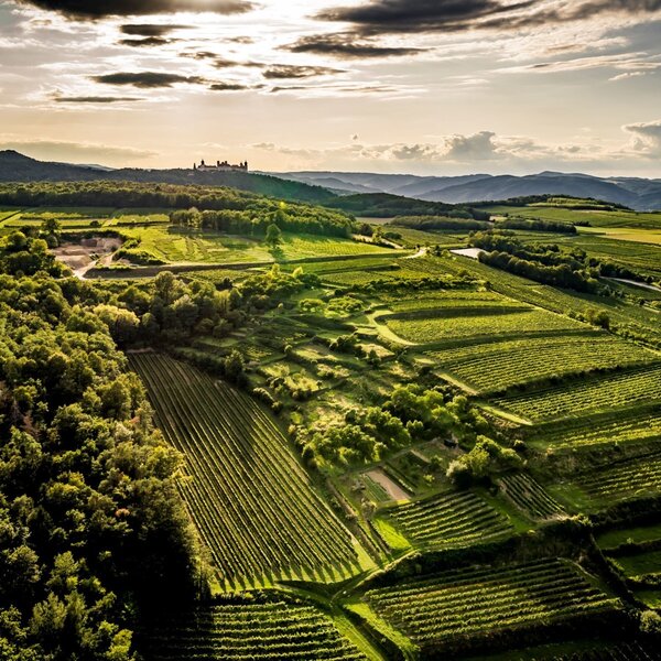 Einfahrt Feiernwohnung Kremstal ©Robert Herbst