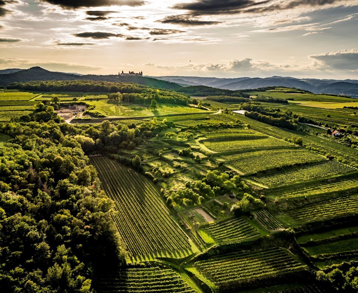 Einfahrt Feiernwohnung Kremstal ©Robert Herbst