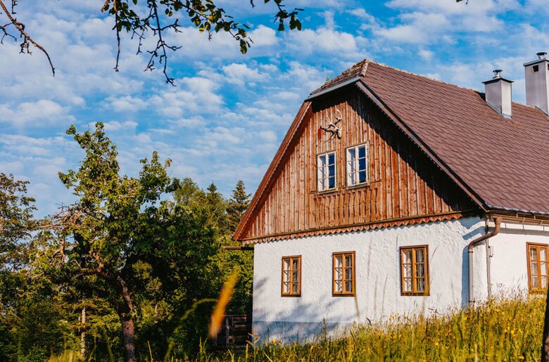 Außenansicht des Ferienhauses mit weißer Fassade, Holzakzenten und einer blühenden Wiese im Vordergrund.