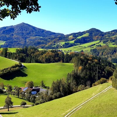 Die ländliche Umgebung des Bauernhofs mit grünen Hügeln, Wäldern und Bergen.