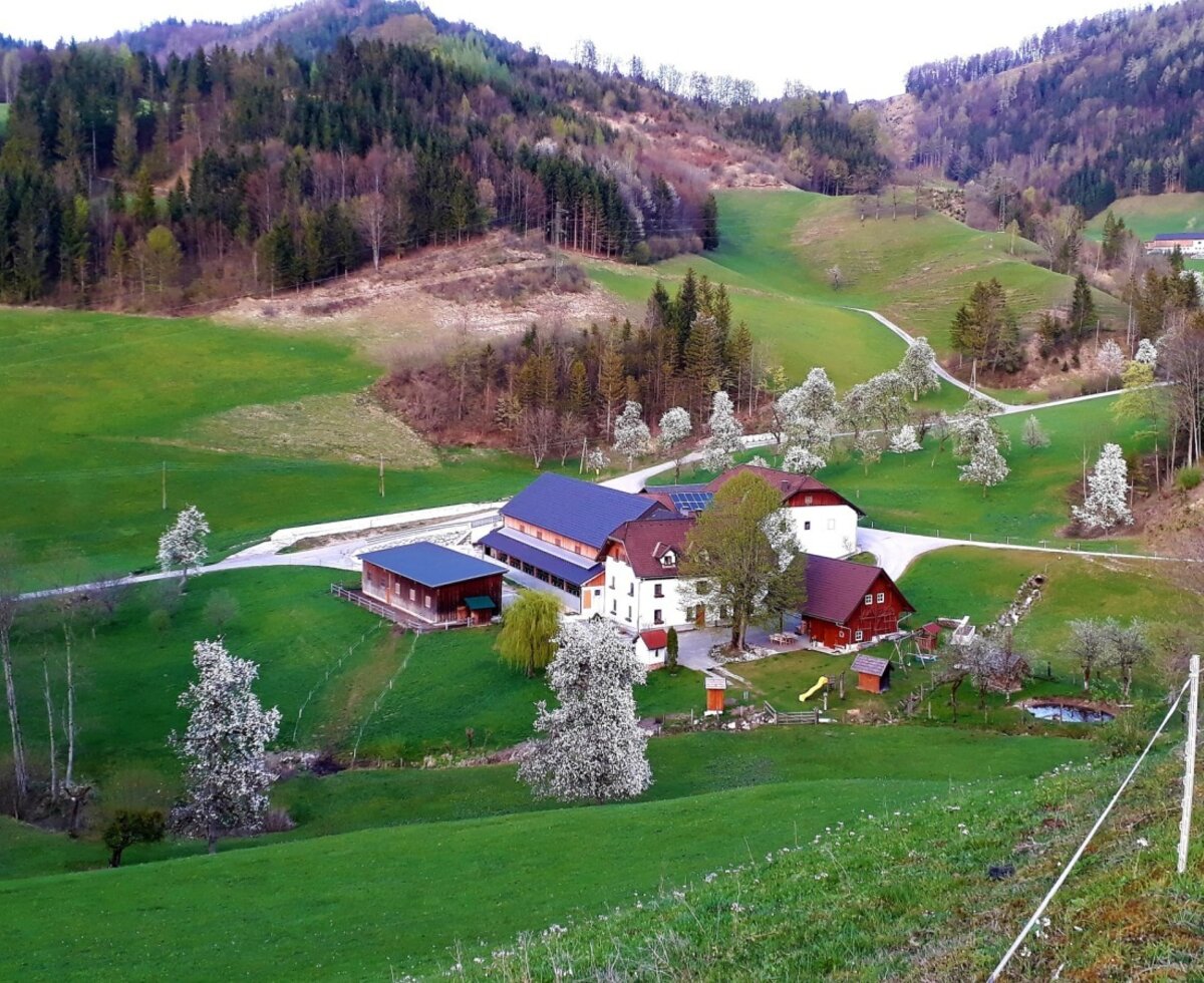 Der Bauernhof liegt in einem grünen Tal, umgeben von Wiesen, bewaldeten Hügeln und blühenden Bäumen.