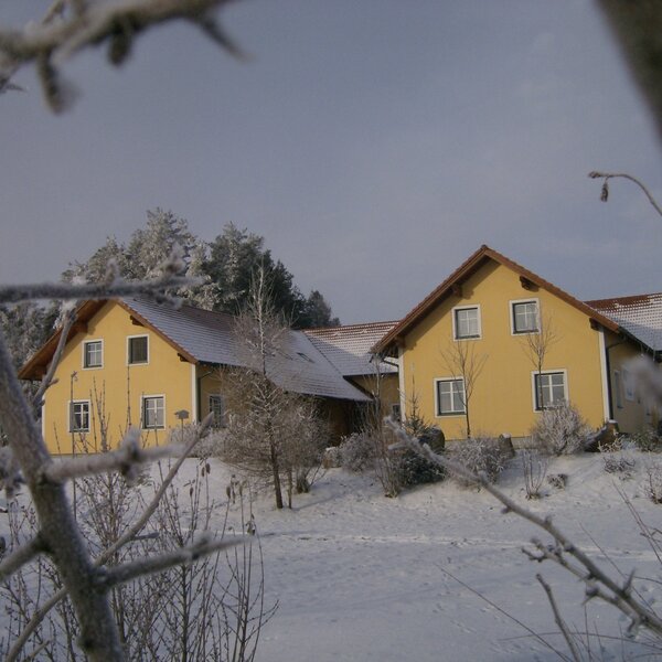 Kibitzhof Winter