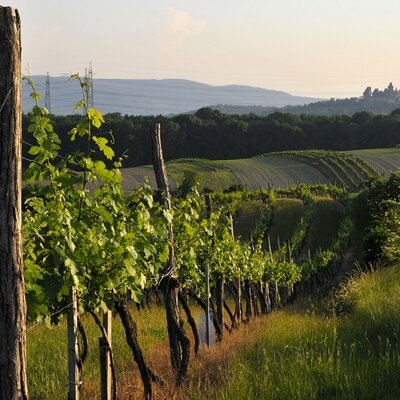 weite Landschaft mit Blick auf Burg Kreuzenstein