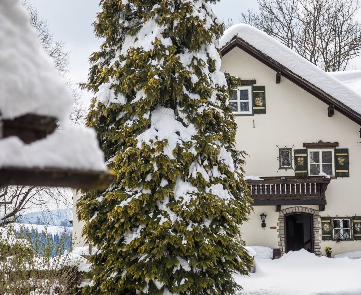 Pension Kobichl im Winter © fred lindmoser