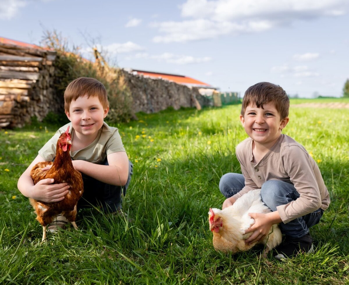 ReiWaSchHOF - Jungs mit Hühnern © Petra Wagner