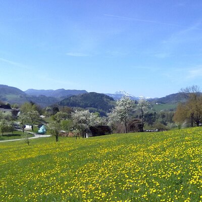 Blick zum Haus