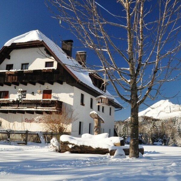 Haus Winter
