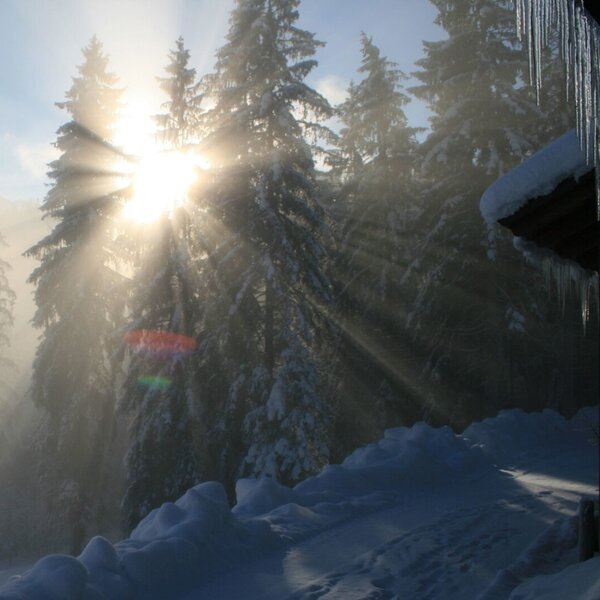 Wintersonne
