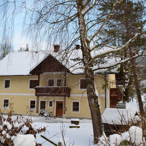 Der schneebedeckte Bauernhof im Winter, umgeben von Bäumen.