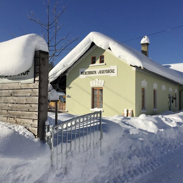 Winterlicher Garten bei Sonnenschein