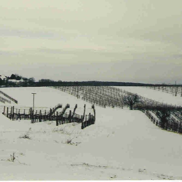 Winter 2012
