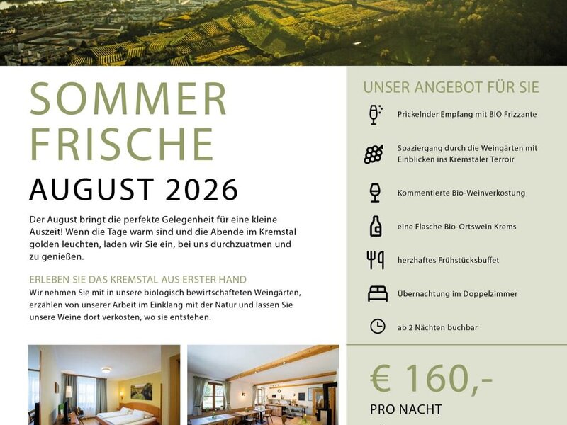 Ein einladender Sommer-Flyer des Bauernhofs mit einer malerischen Aussicht auf die umliegenden Weinberge und Einblicken in die gemütlichen Zimmer.