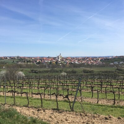 Weingarten mit Blick auf Stratzing