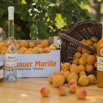 Weinhof Maier - Marillenprodukte
