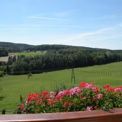 Der Blick vom Balkon des Bauernhofs auf den Wienerwald, grüne Wiesen und Wälder, mit Blumen auf der Brüstung.