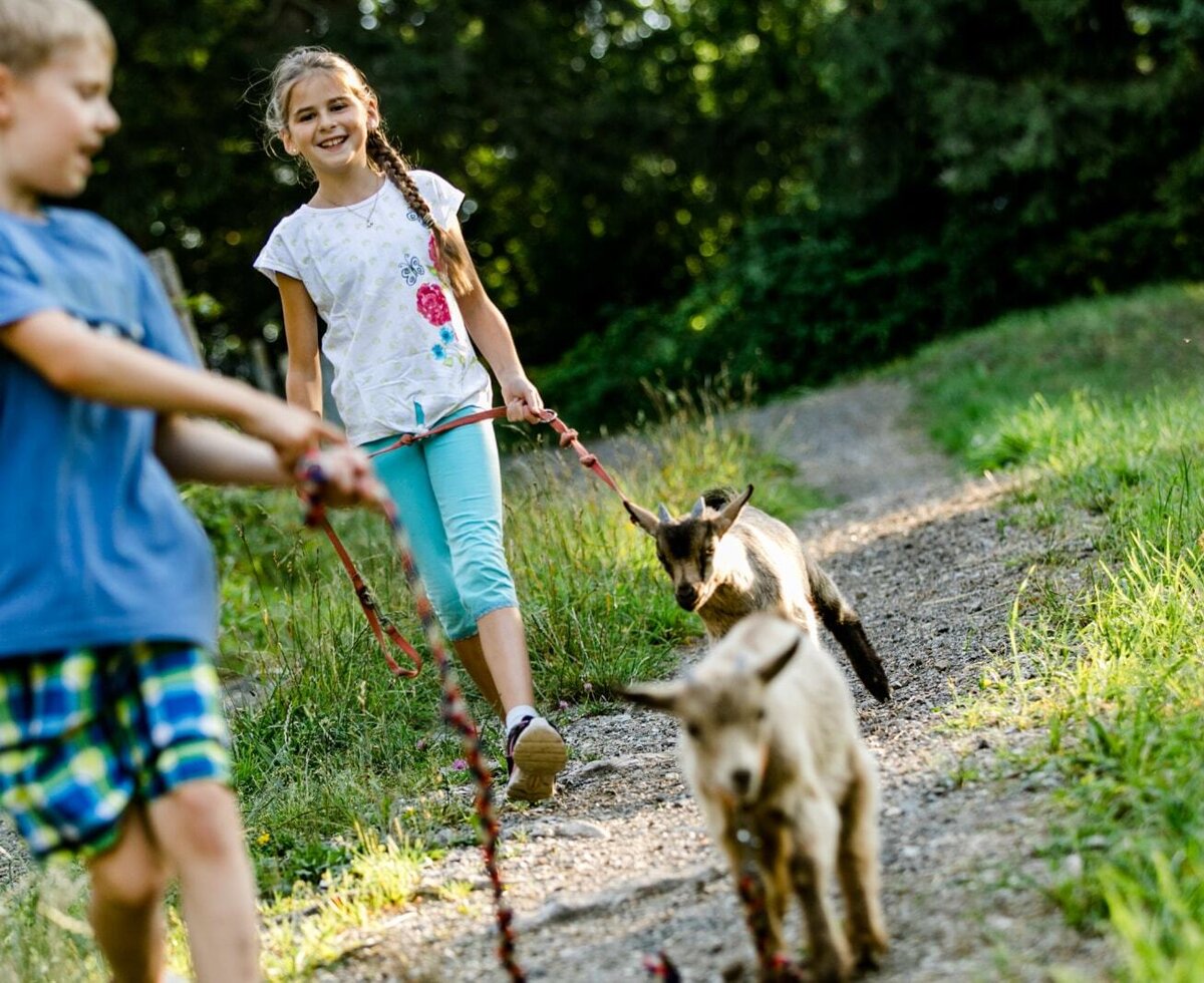 Zwergerlhof - Ziegenspaziergang