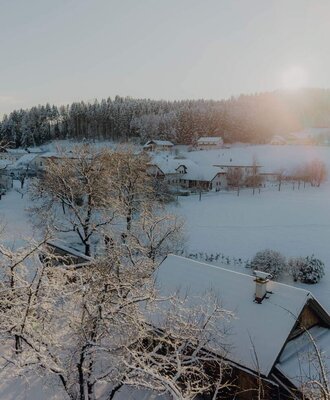 Der Bauernhof im Winter, umgeben von schneebedeckten Bäumen und Feldern unter der Wintersonne.