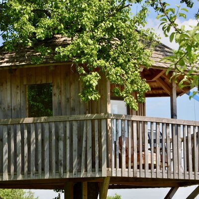 Baumhaus um den Baum herumgebaut!