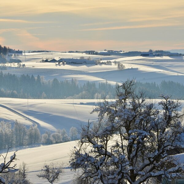 Aussicht vom Ebnerhof