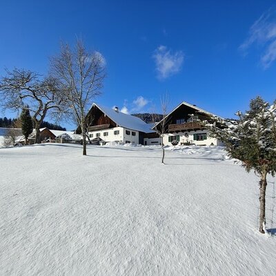 Der Bauernhof in einer verschneiten Winterlandschaft unter blauem Himmel.