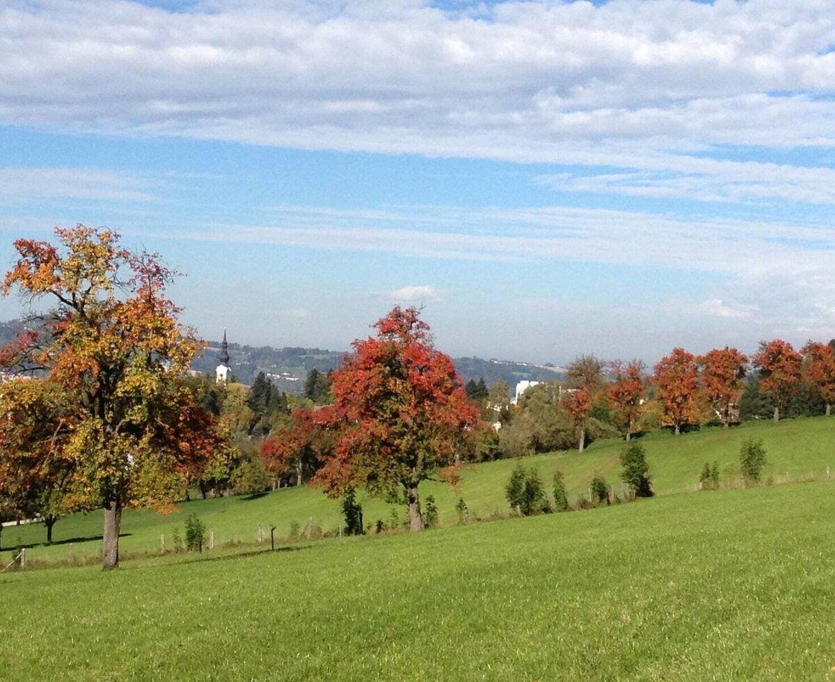 Die umliegende Landschaft des Bauernhofs mit grünen Hügeln, herbstlich gefärbten Bäumen und einem Dorf mit Kirche im Hintergrund.
