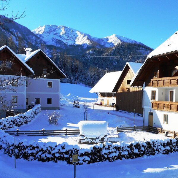 Winter am Hof